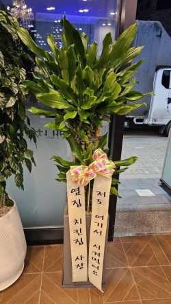 배송사진