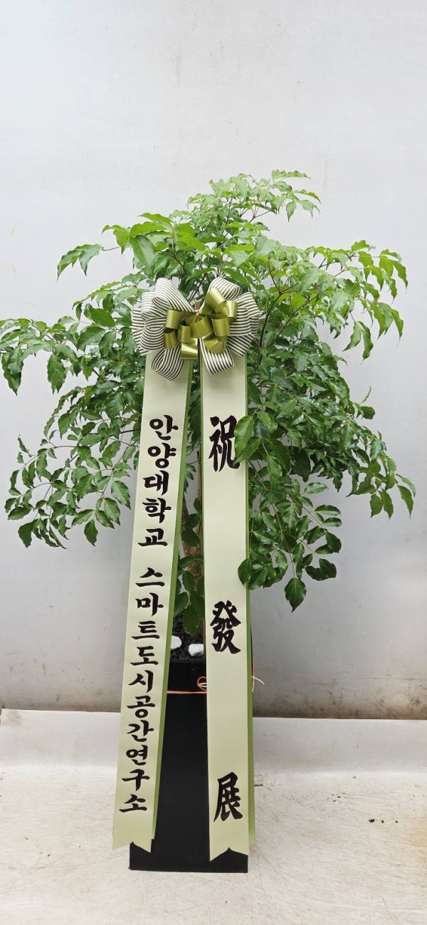 업로드 이미지