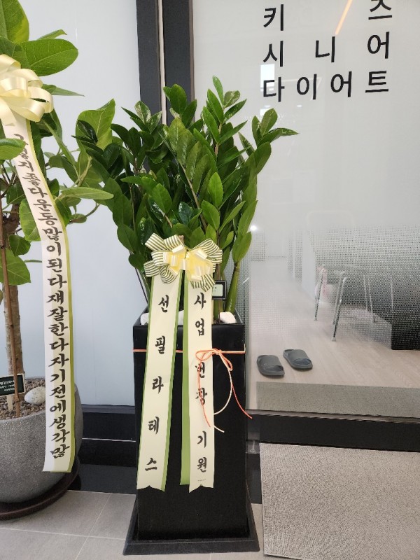 업로드 이미지
