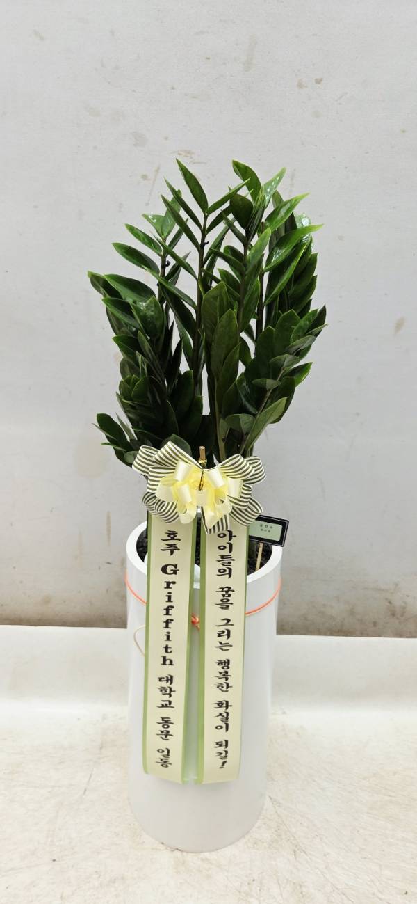업로드 이미지