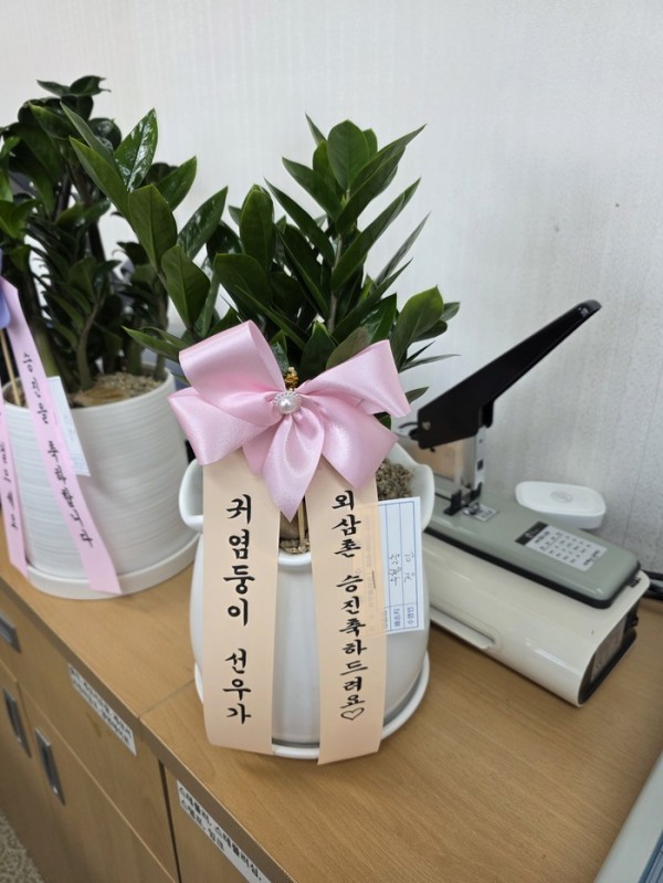 배송사진