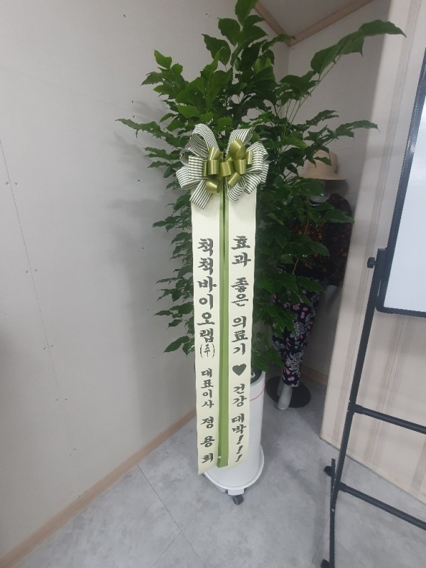 업로드 이미지
