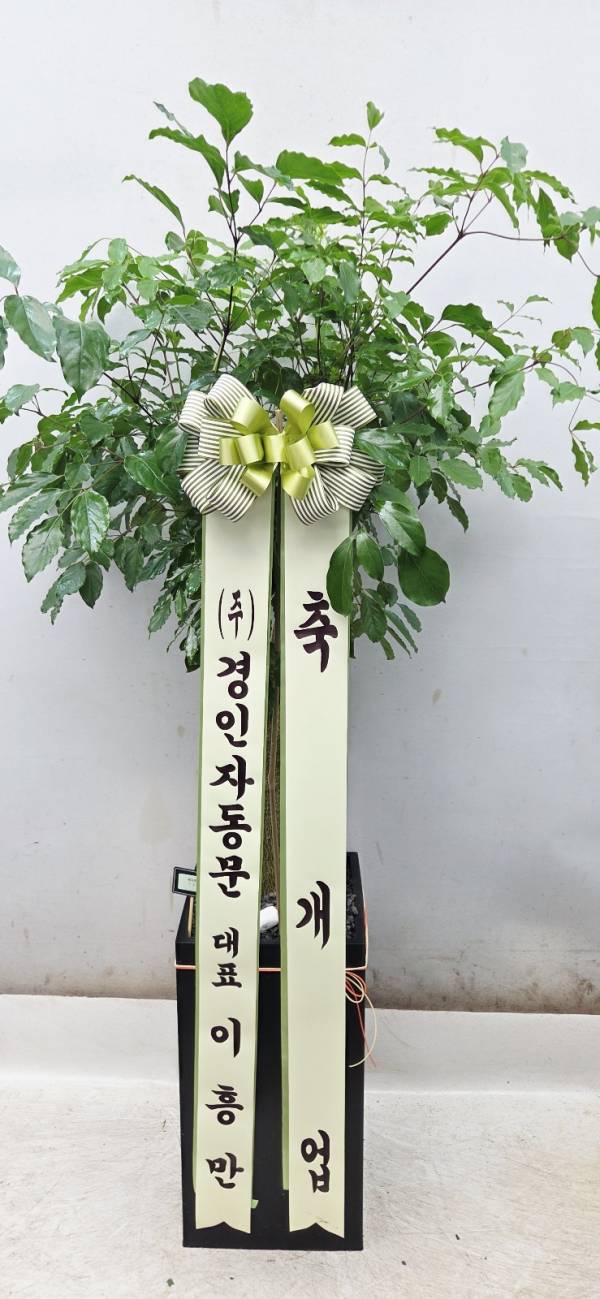 업로드 이미지