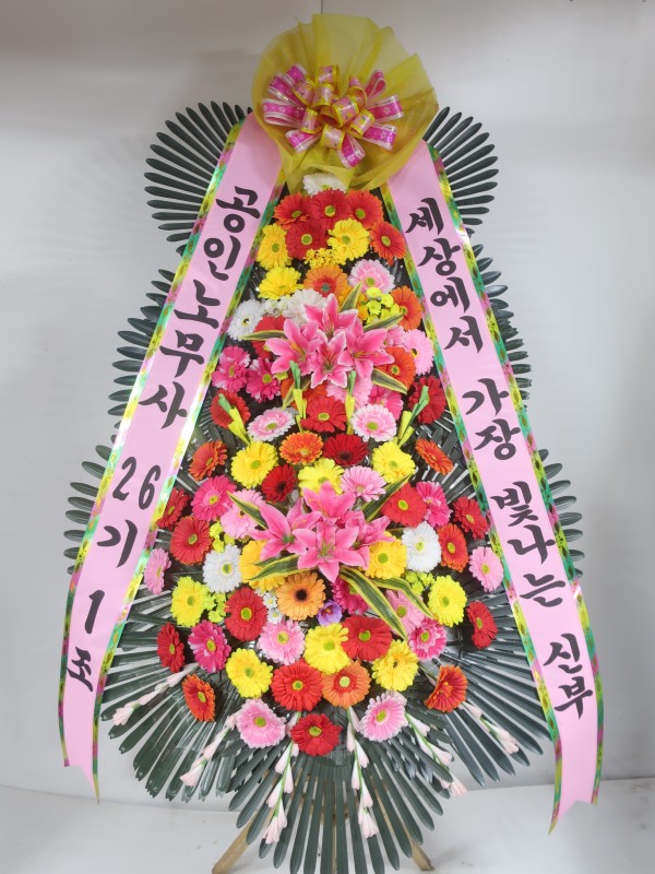업로드 이미지