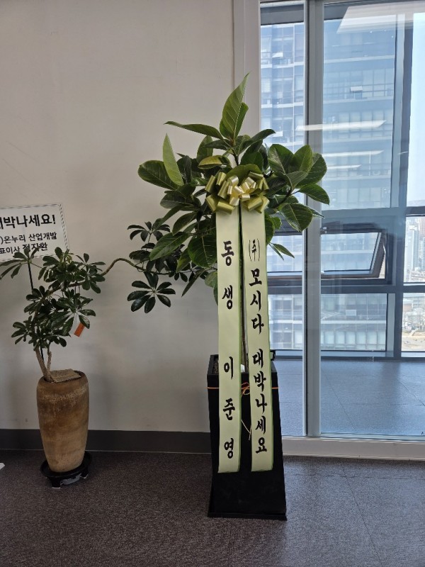 업로드 이미지