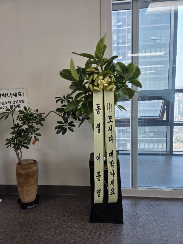 배송사진