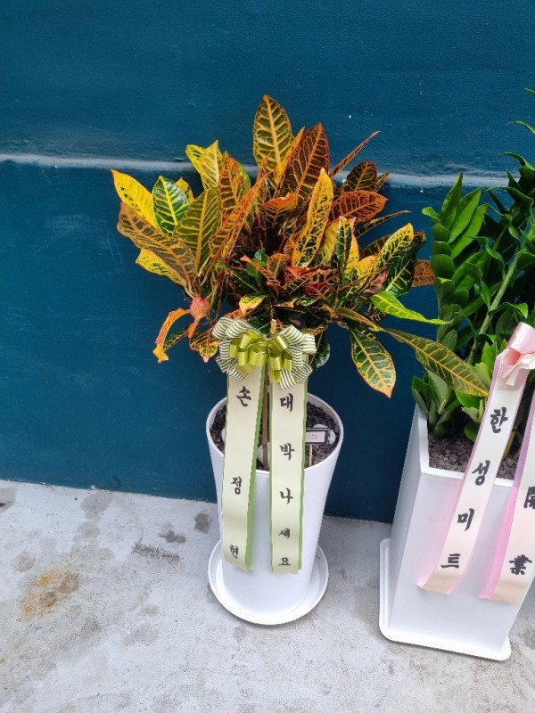 배송사진