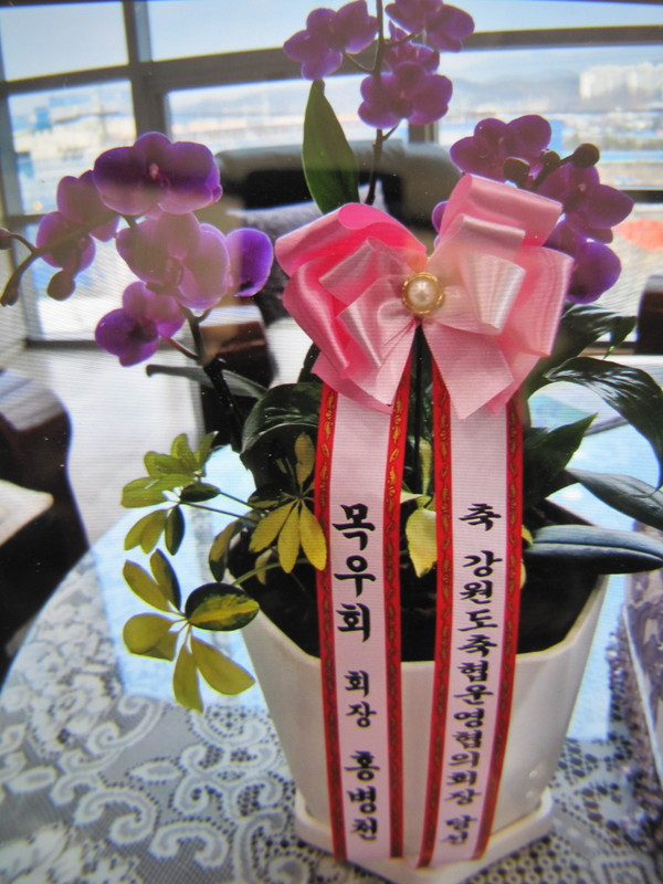 업로드 이미지