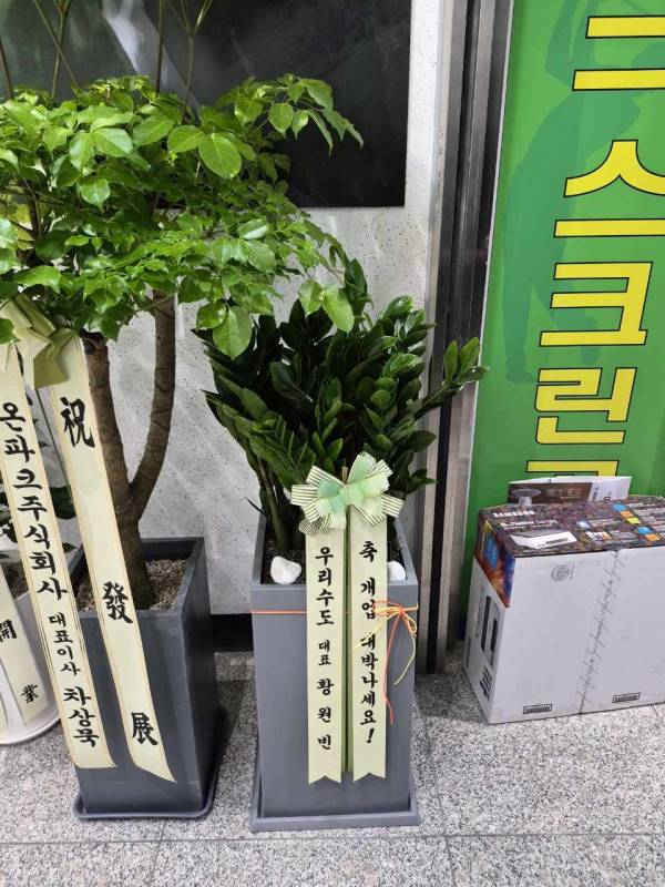 업로드 이미지