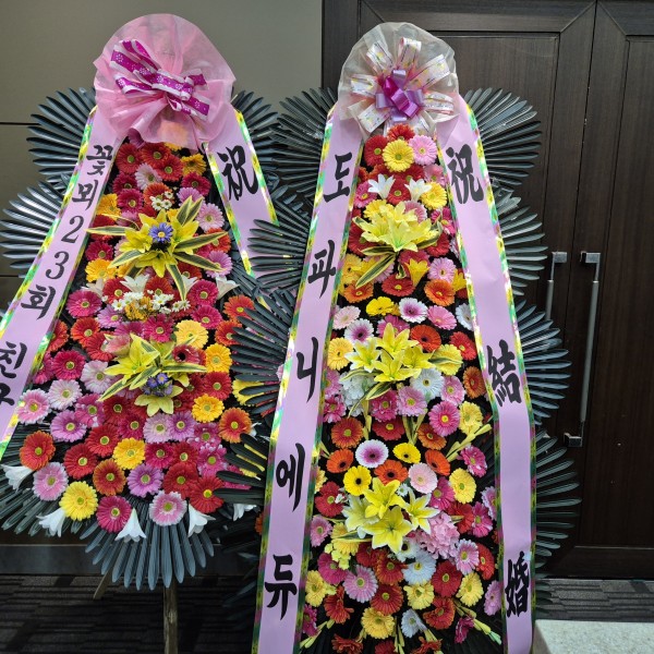 업로드 이미지
