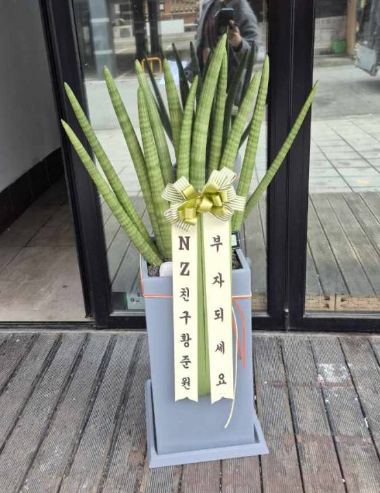 업로드 이미지