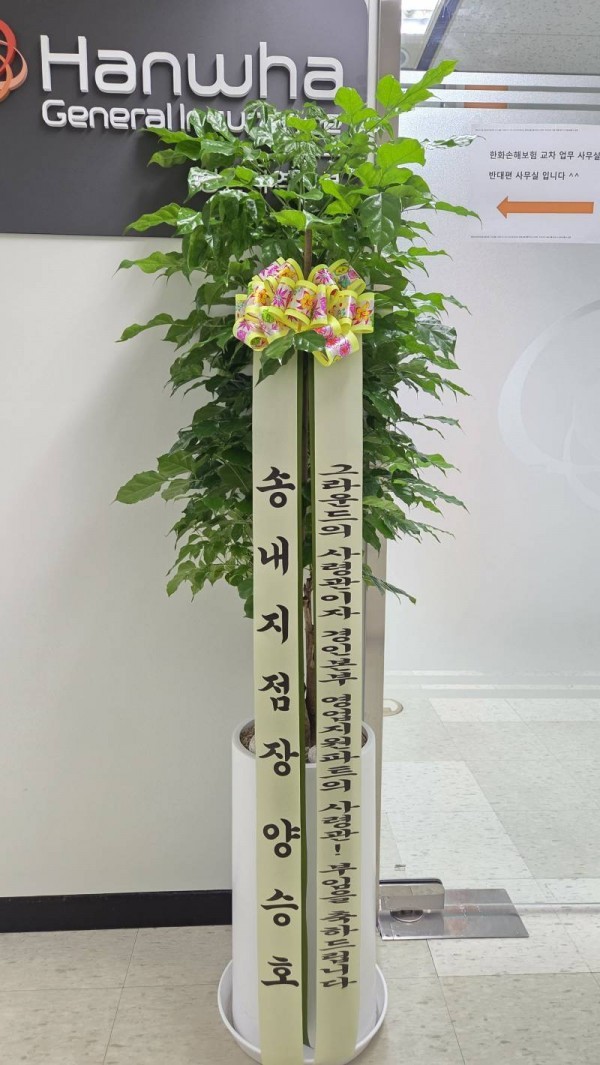 배송사진