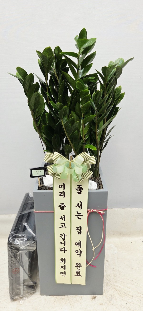 업로드 이미지