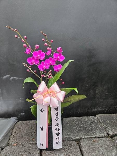 업로드 이미지