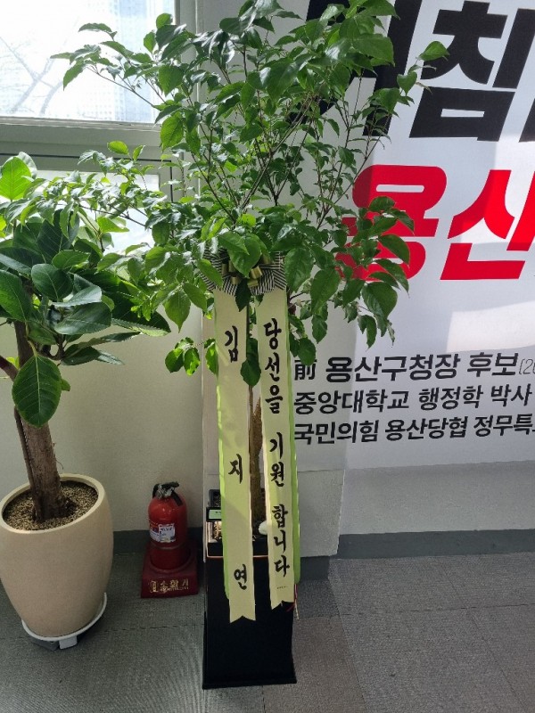 업로드 이미지