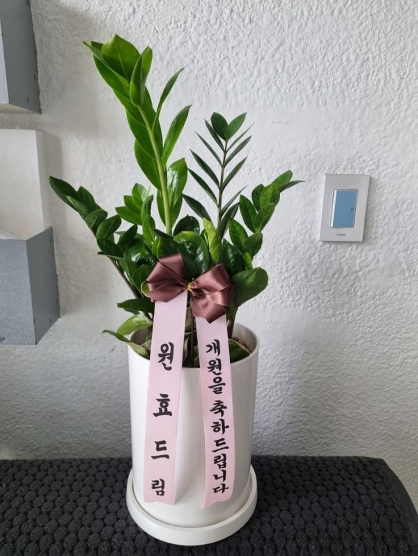 배송사진