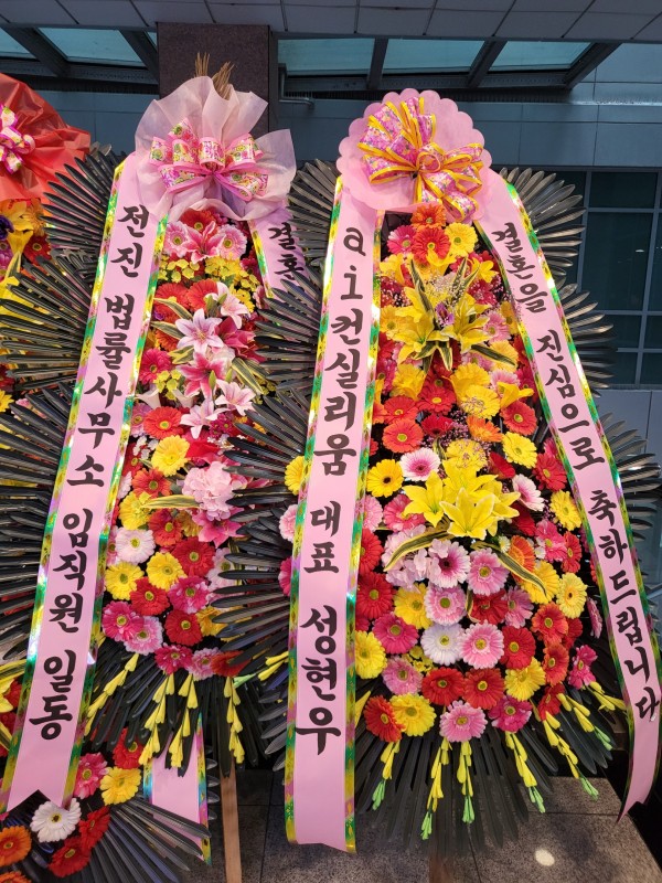 업로드 이미지