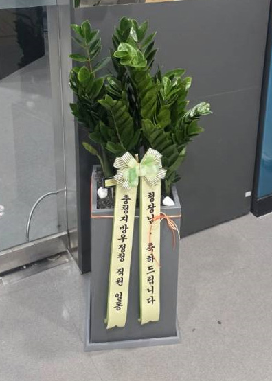 업로드 이미지