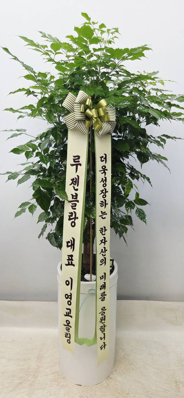 업로드 이미지