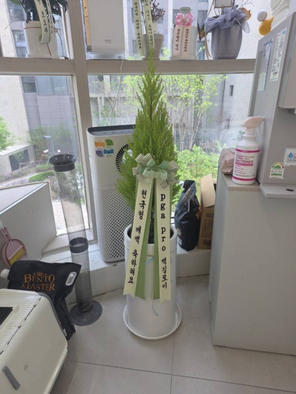업로드 이미지
