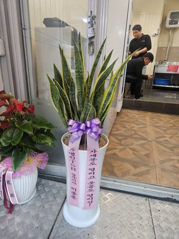 업로드 이미지