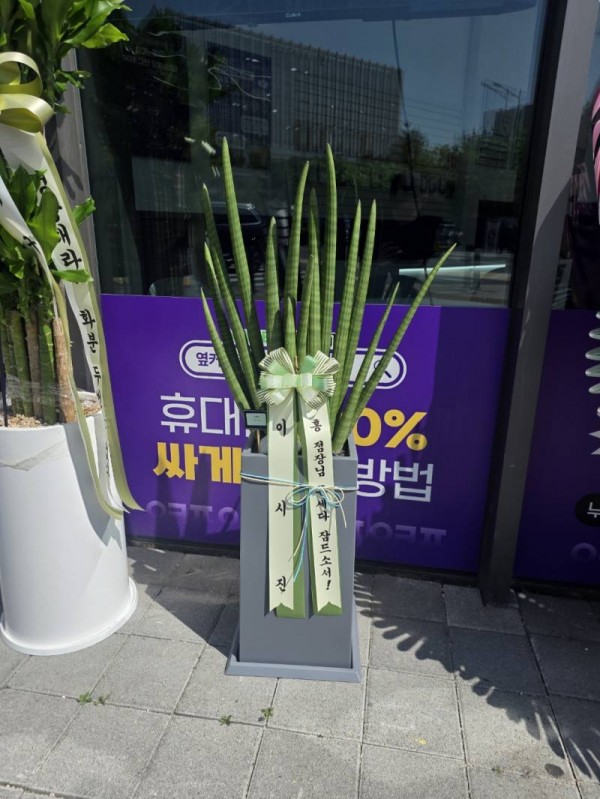 업로드 이미지
