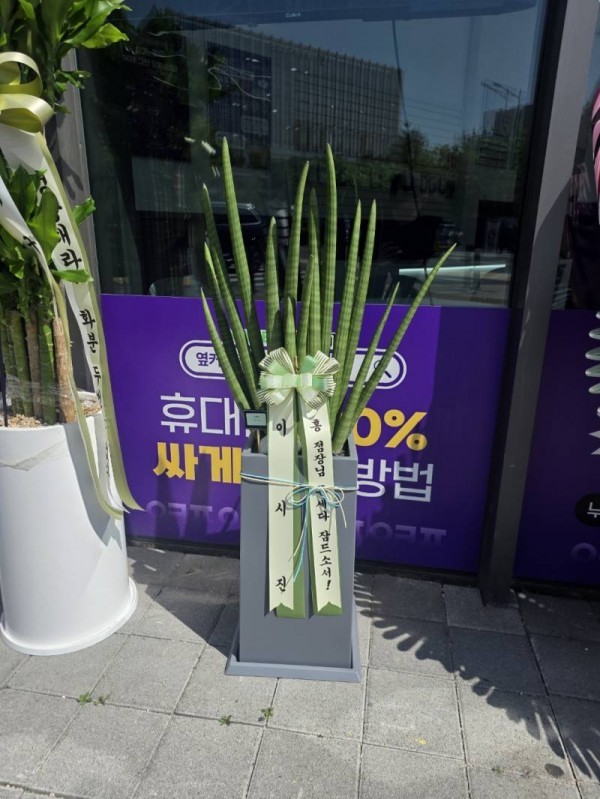 배송사진