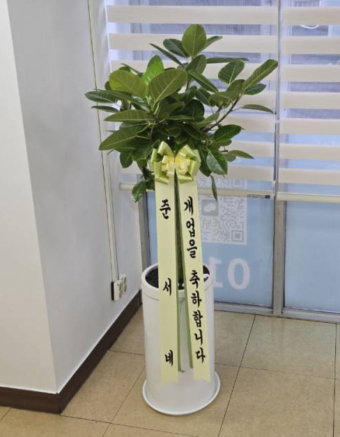 업로드 이미지
