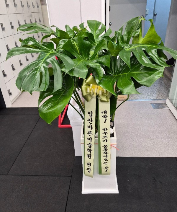 배송사진