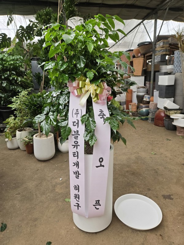 업로드 이미지