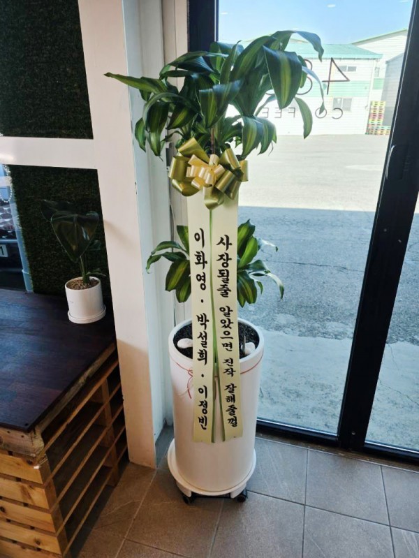 배송사진