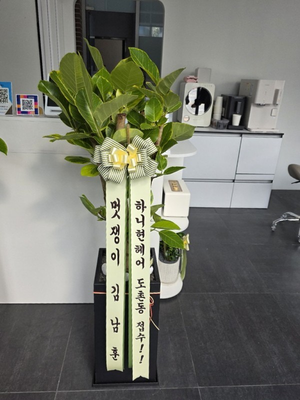 배송사진