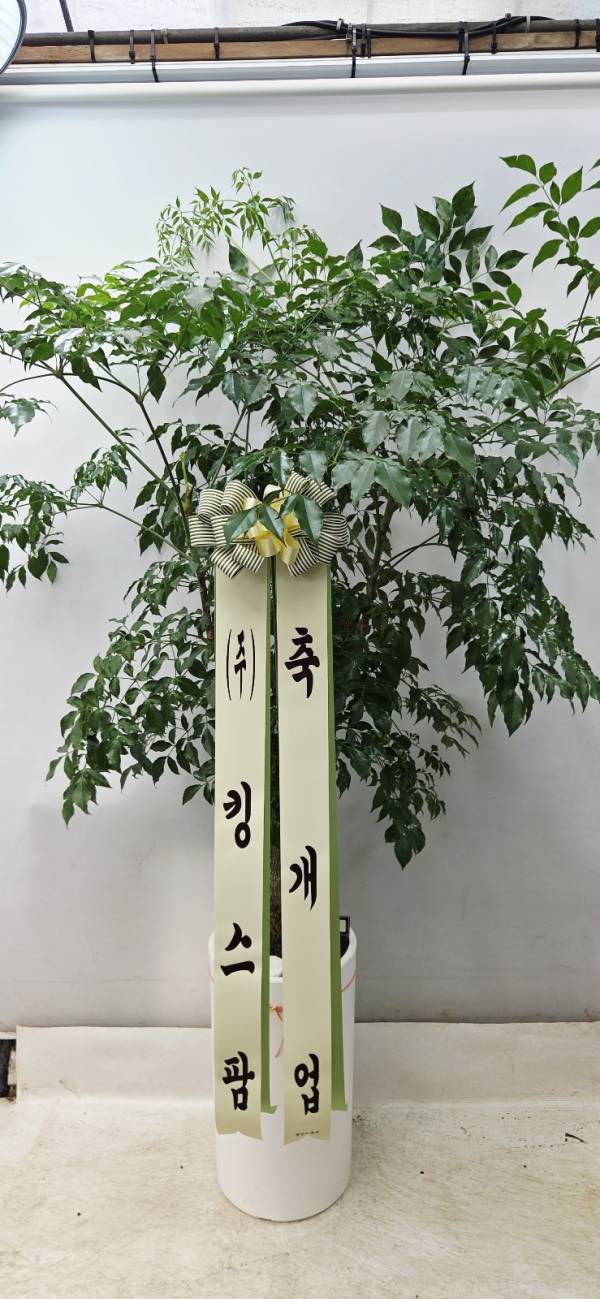 업로드 이미지