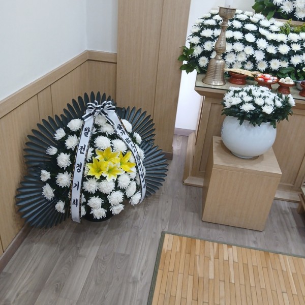 업로드 이미지