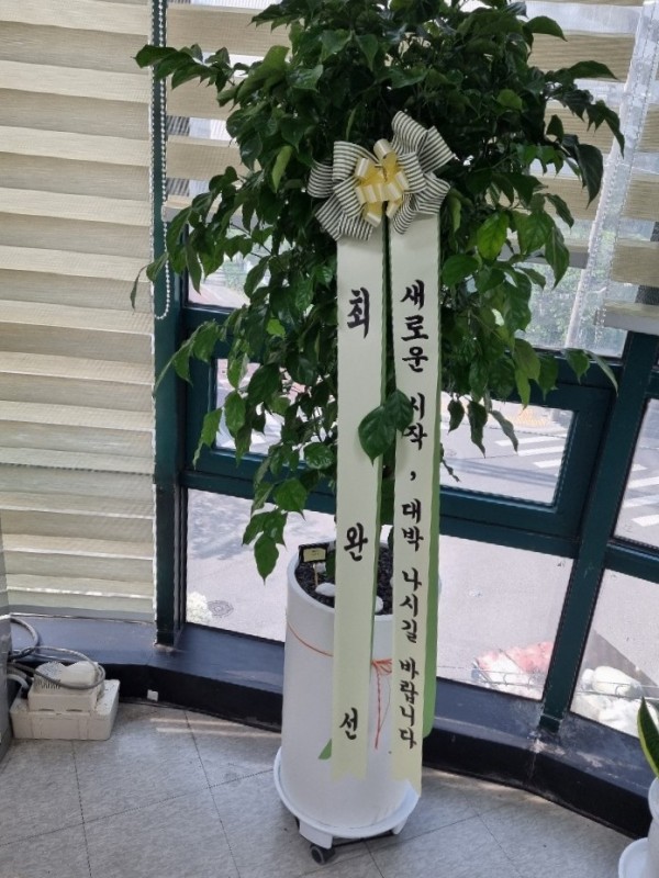 업로드 이미지