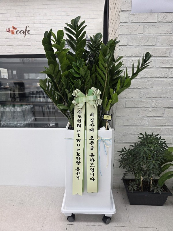 업로드 이미지