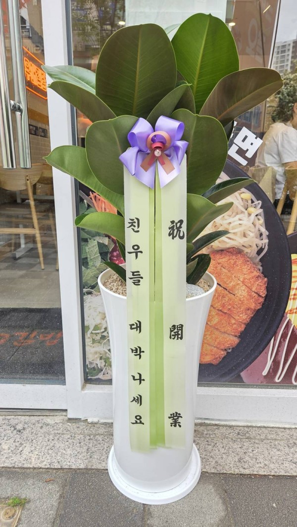 업로드 이미지
