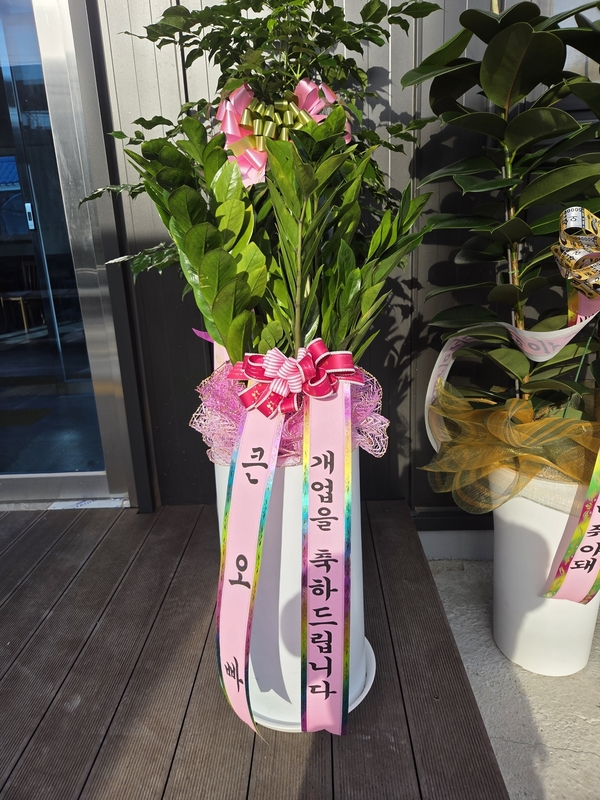 업로드 이미지