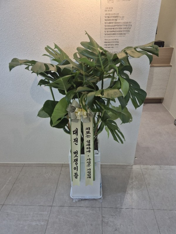 업로드 이미지