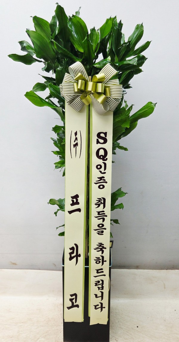 업로드 이미지