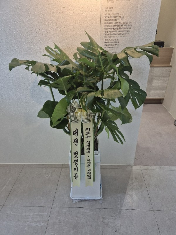 배송사진