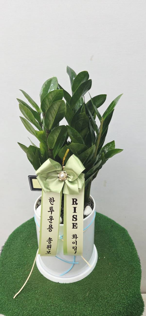 업로드 이미지