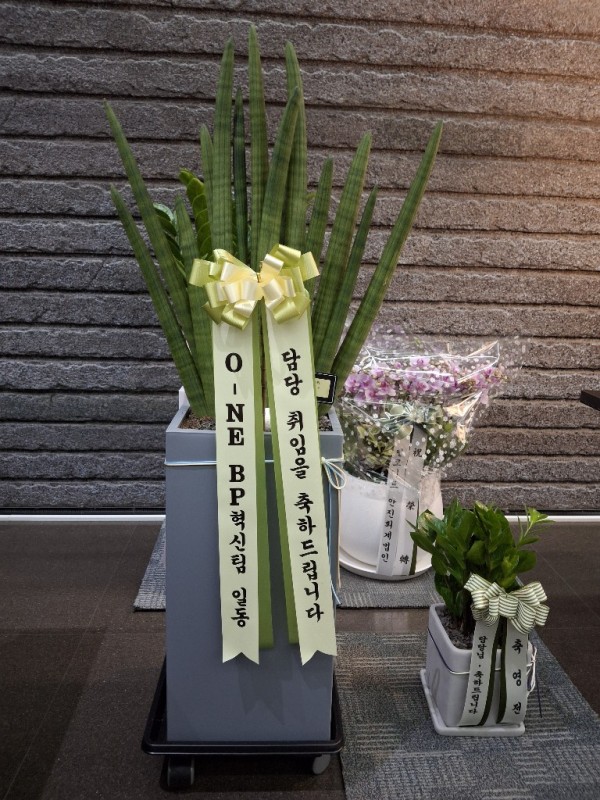 업로드 이미지