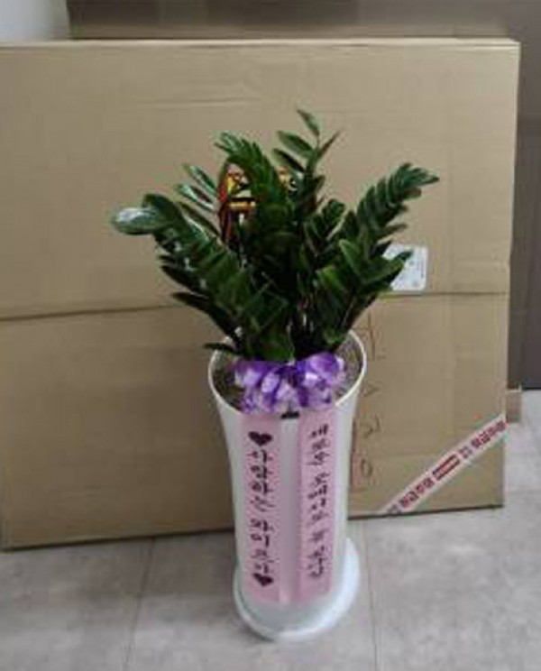 배송사진