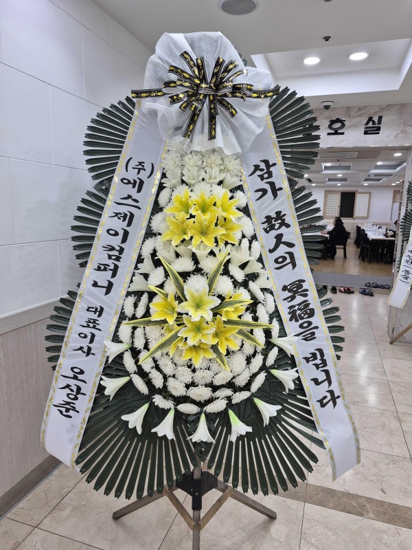 업로드 이미지