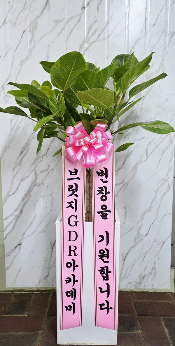업로드 이미지