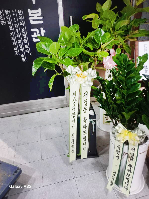 업로드 이미지