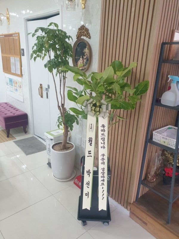 배송사진