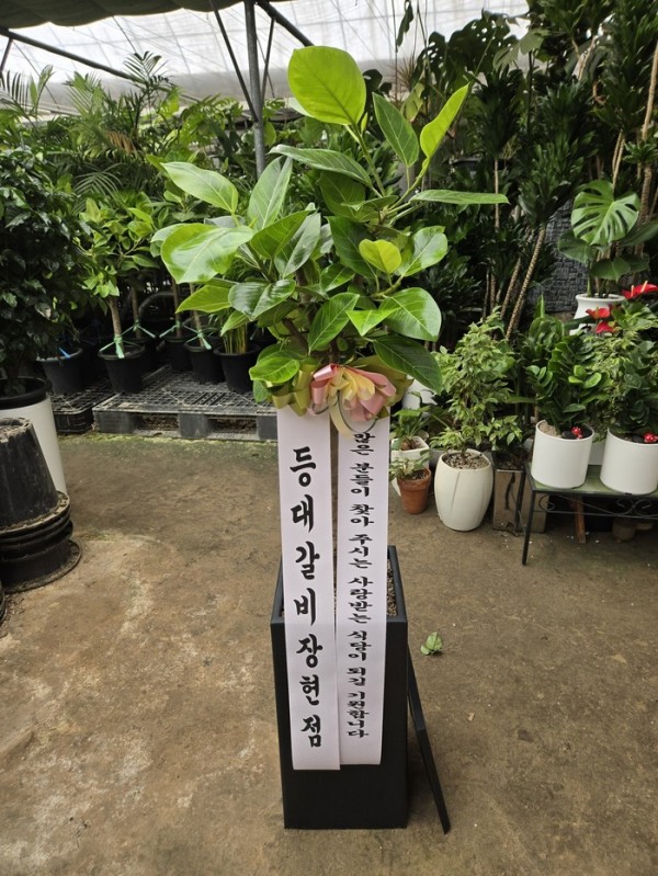업로드 이미지