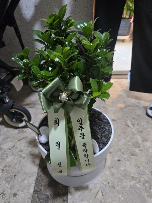 배송사진